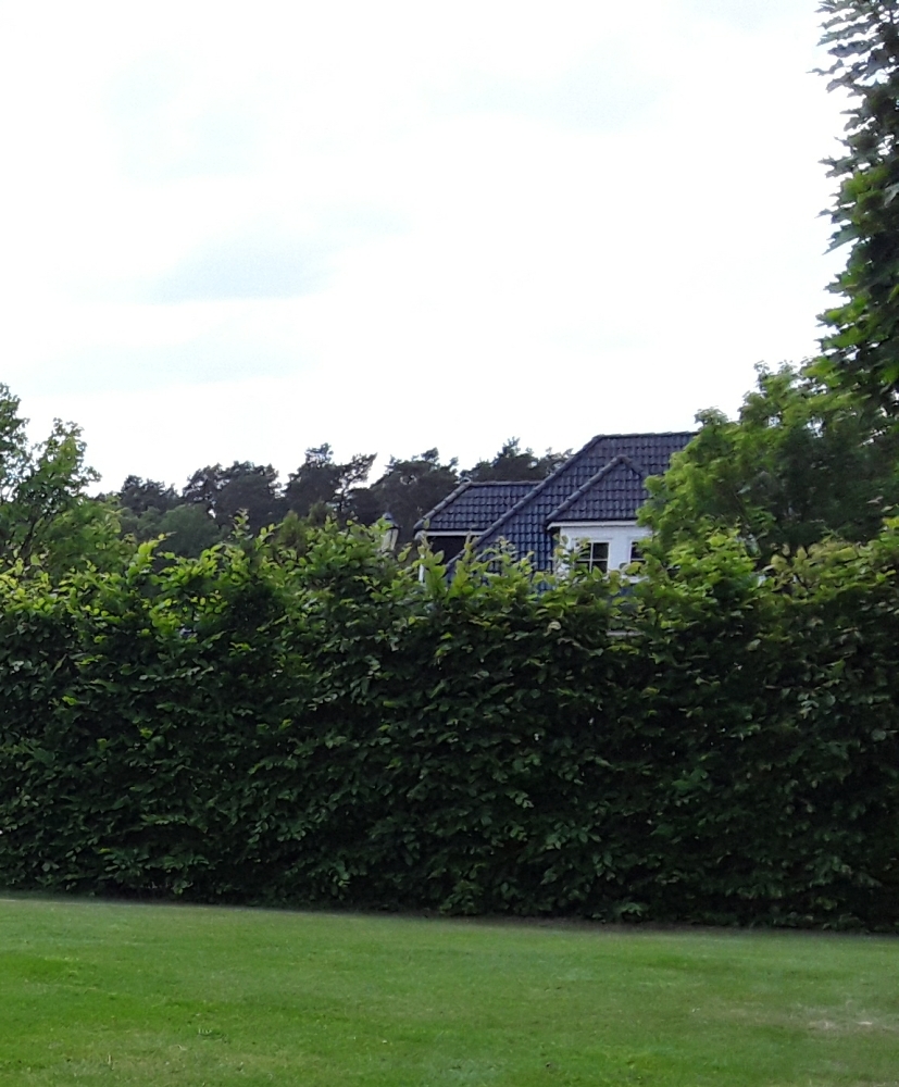 und blickdicht im Sommer